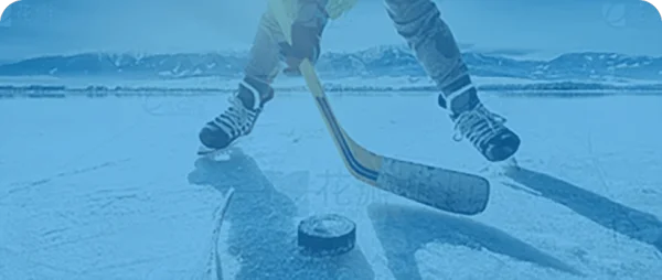 Hockey API