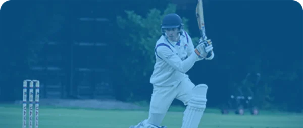 Cricket API